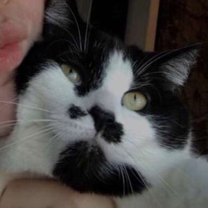 Meet your Posher, Emma